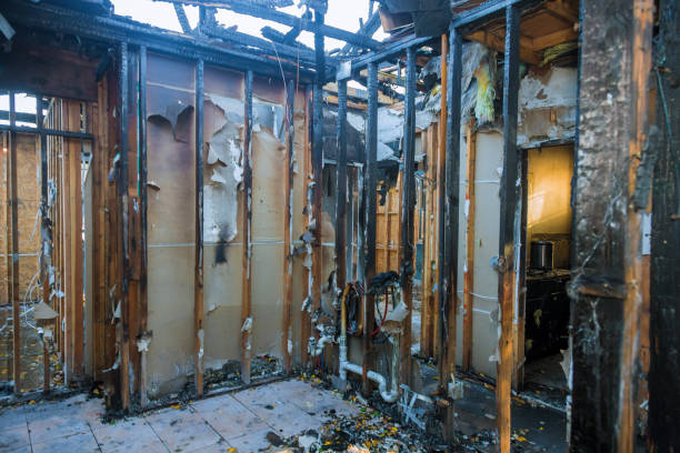 Professional Fire Damage Removal technician working in Bay City, TX
